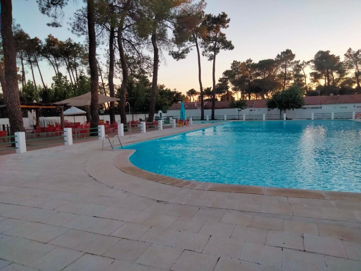 La Casa Del Colmao Hébergement de vacances *